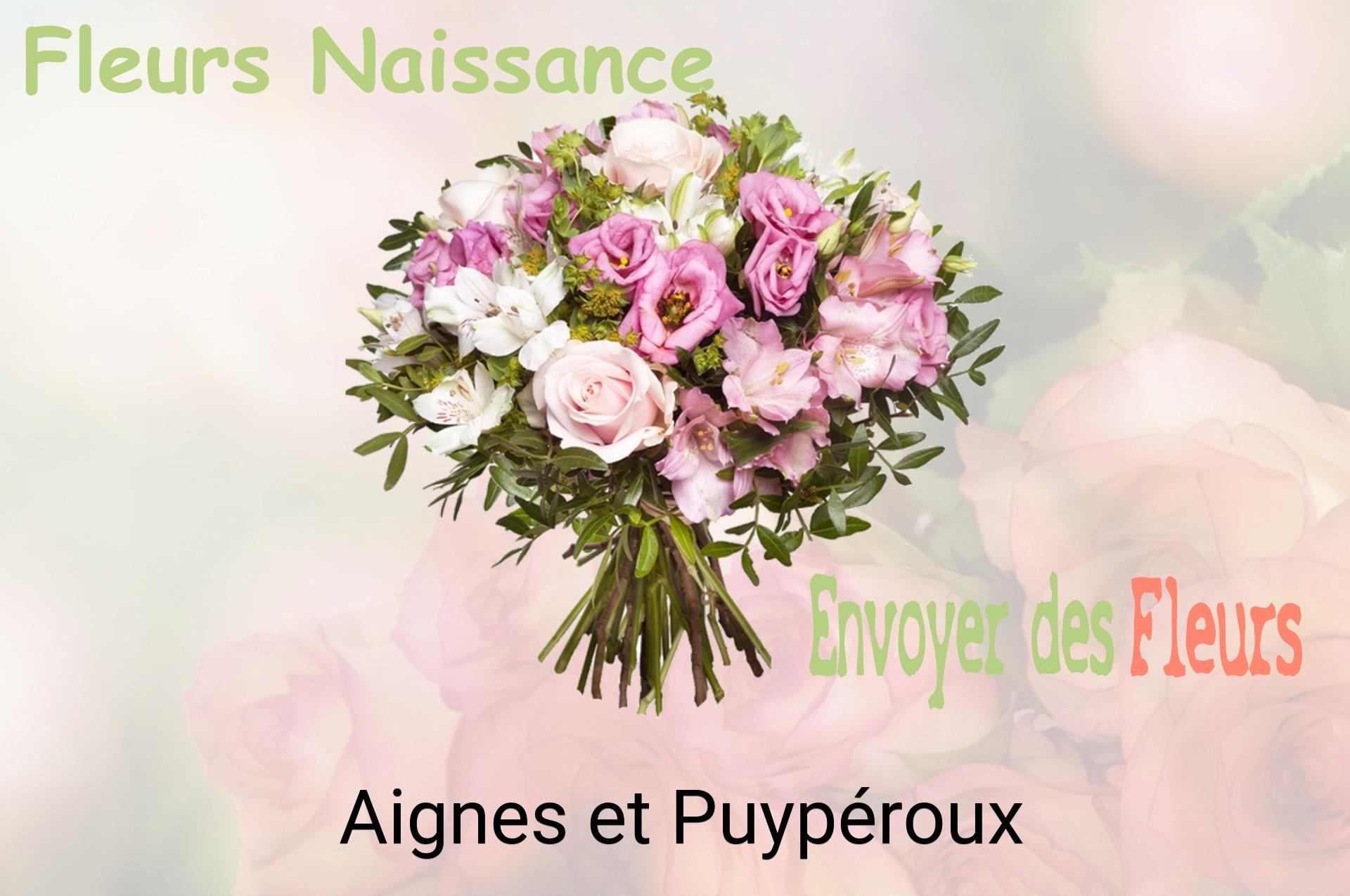 Bouquet de fleurs de naissance livré à Aignes-et-Puypéroux