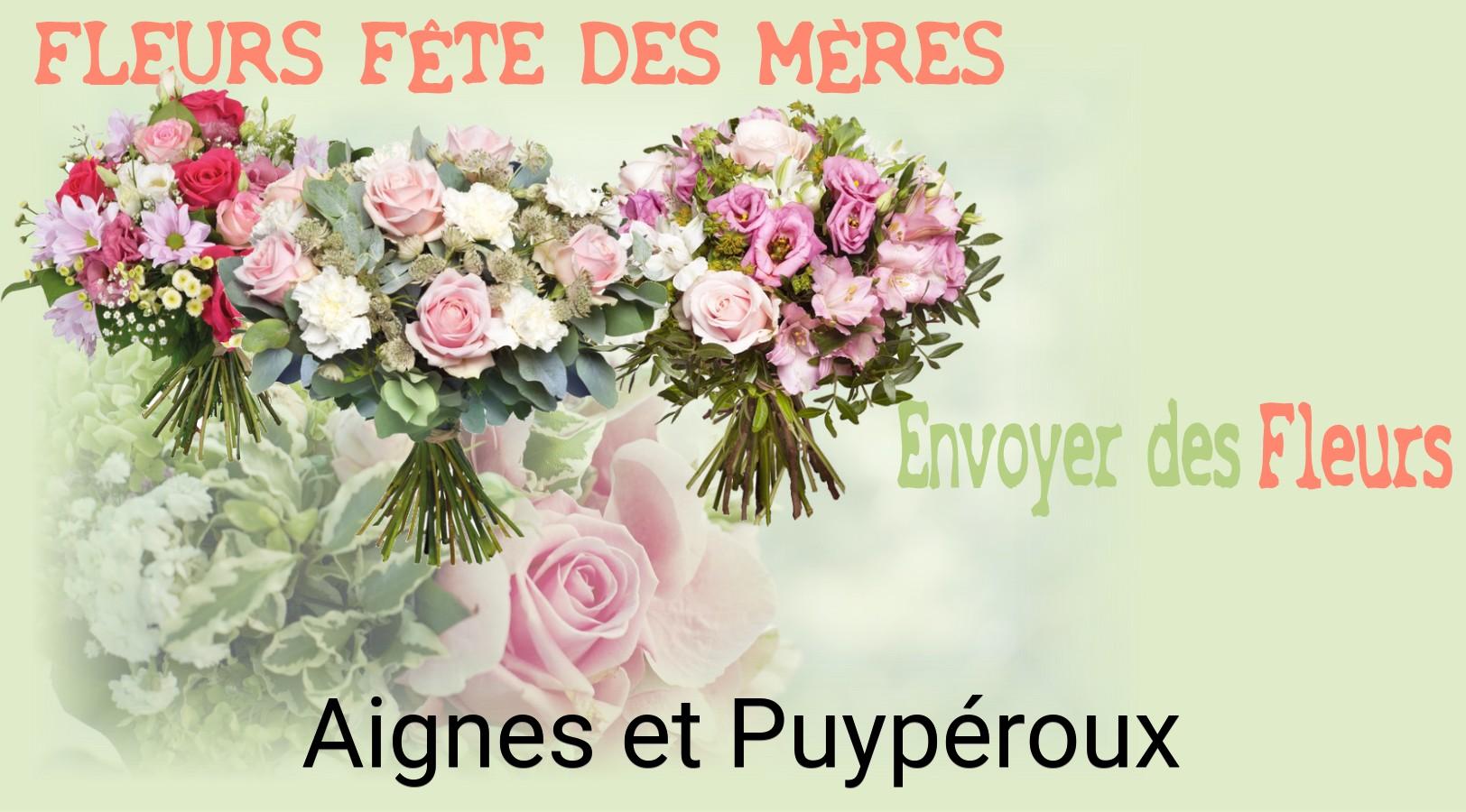 Bouquet de Fête des Mères livré à Aignes-et-Puypéroux